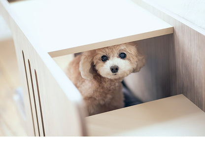 【500円OFF】フランスペット ペットステップベンチ PE01 ドッグステップ ペット 犬 小型犬 高齢犬 シニア犬 老犬 介護 ペット用 段差 階段 ベッドサイド ペット家具 フランスベッド(代引不可)