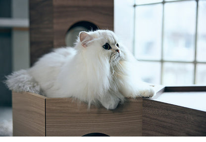 フランスペット ペットハウス へキサ ナチュラル PE03 1個 重ねて使える ペットハウス キャットタワー ペット家具 フランスベッド(代引不可)