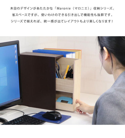 デスクオーガナイザー マロニエ Maronie 2段 幅10 奥行25 高さ30 卓上 デスク上 省スペース スリム 木目 引き出し 完成品 おしゃれ デスク 小物入れ ペン立て マルチスタンド ペンスタンド 収納