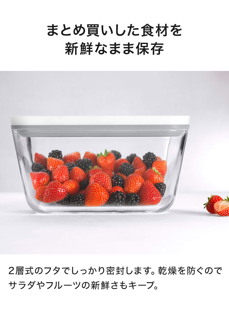 フレッシュ&セーブ 真空保存容器 ガラスコンテナ M 750ml 追加コンテナ 追加購入 密閉 鮮度長持ち 5倍長持ち 湿気 酸化防止 真空調理 ガラス容器 保存容器 冷凍 冷蔵 ツヴィリング