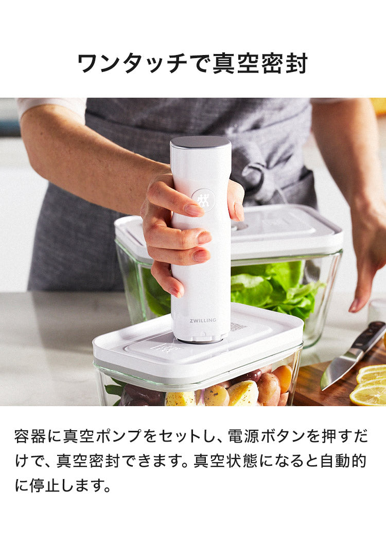 フレッシュ&セーブ 真空保存容器 7点セット スターターセット 真空ポンプ ガラスコンテナ S M バッグ 密閉 5倍 鮮度長持ち 湿気 酸化防止 真空調理 ガラス容器 保存容器 冷凍 冷蔵 ツヴィリング