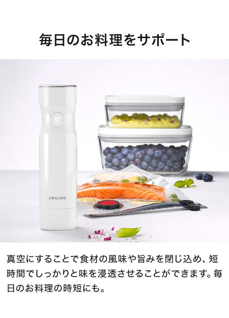 フレッシュ&セーブ 真空保存容器 7点セット スターターセット 真空ポンプ ガラスコンテナ S M バッグ 密閉 5倍 鮮度長持ち 湿気 酸化防止 真空調理 ガラス容器 保存容器 冷凍 冷蔵 ツヴィリング