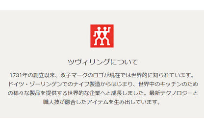 ツヴィリング ピコ ストックポット 14cm 1.5L 両手 鍋 深型 ステンレス ガラスフタ付き 【日本正規販売品 】 66653-140 おしゃれ シンプル モダン リビング 新生活 一人暮らし(代引不可)