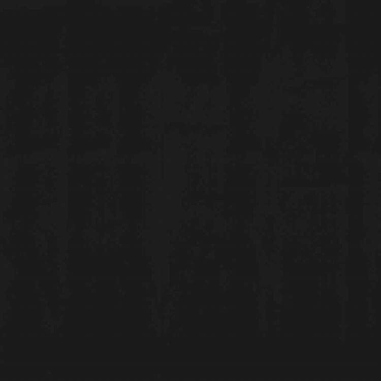 vidaXL 引き込み式オーニング 250x150cm アントラシートホーム&ガーデン 芝&ガーデン アウトドアリビング 窓・ドア用日除け/オーニング(代引不可)