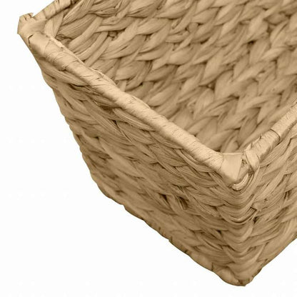 vidaXL プランター 2点 ウォーターヒヤシンスホーム&ガーデン 芝&ガーデン ガーデニング 鉢植え・プランター(代引不可)