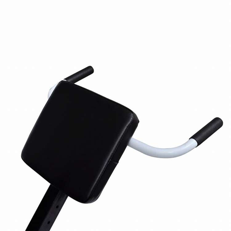 vidaXL バックエクステンションベンチスポーツグッズ エクササイズ&フィットネス ウエイトリフティング ウェイトリフティングマシン・ラック(代引不可)