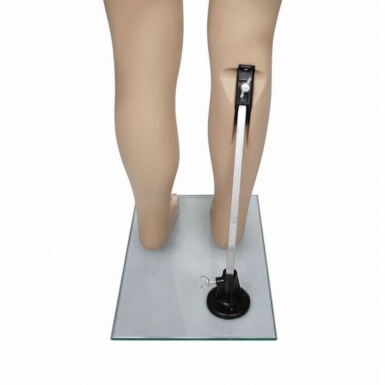 vidaXL マネキン 子供 Aビジネス&工業用 リテール ディスプレイマネキン(代引不可)