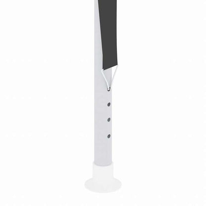 vidaXL プロ仕様 パーティーテント 側壁付き 2x2m アントラシート 90g/m2ホーム&ガーデン 芝&ガーデン アウトドアリビング アウトドアストラクチャー キャノピー・ガゼボ(代引不可)