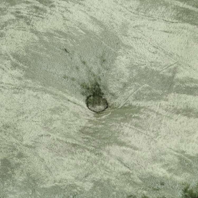 vidaXL 丸型プーフ ベルベット 40x20cm グリーン家具 フットレスト(代引不可)