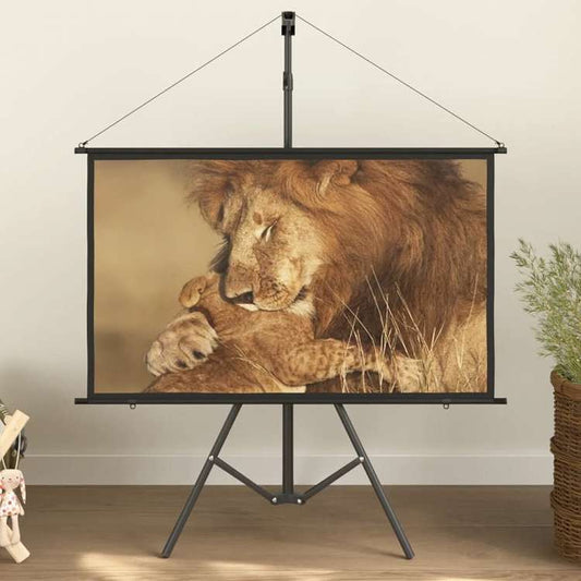 vidaXL プロジェクタースクリーン 三脚付き 50インチ 16:9電子機器 ビデオ ビデオアクセサリ プロジェクター用アクセサリー プロジェクションスクリーン(代引不可)