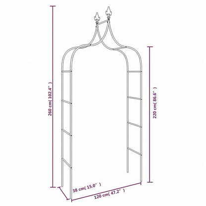 vidaXL ガーデンアーチ 2点 ブラック 120x38x260 cm スチール製ホーム&ガーデン 芝&ガーデン アウトドアリビング アウトドアストラクチャー ガーデンアーチ・トレリス・アーバー・ぺルゴラ(代引不可)