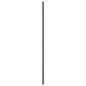 vidaXL ウォールミラー ブラック 60x100 cm 長方形 鉄製ホーム&ガーデン デコレーション 鏡(代引不可)