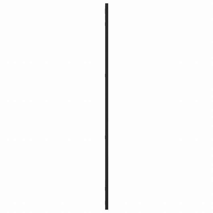 vidaXL ウォールミラー ブラック 50x100 cm 長方形 鉄製ホーム&ガーデン デコレーション 鏡(代引不可)