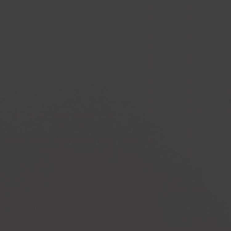 vidaXL プランター 2点 ブラック 42x40x39cm スチールホーム&ガーデン 芝&ガーデン ガーデニング 鉢植え・プランター(代引不可)