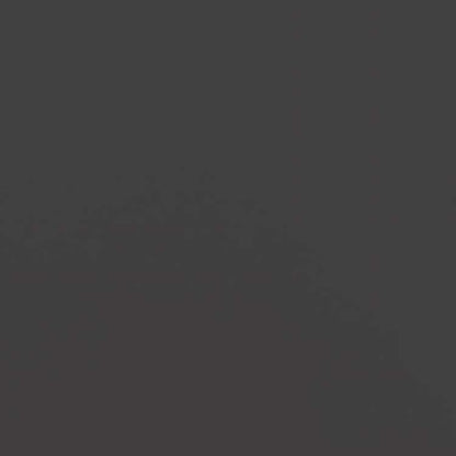 vidaXL プランター 2点 ブラック 42x40x39cm スチールホーム&ガーデン 芝&ガーデン ガーデニング 鉢植え・プランター(代引不可)