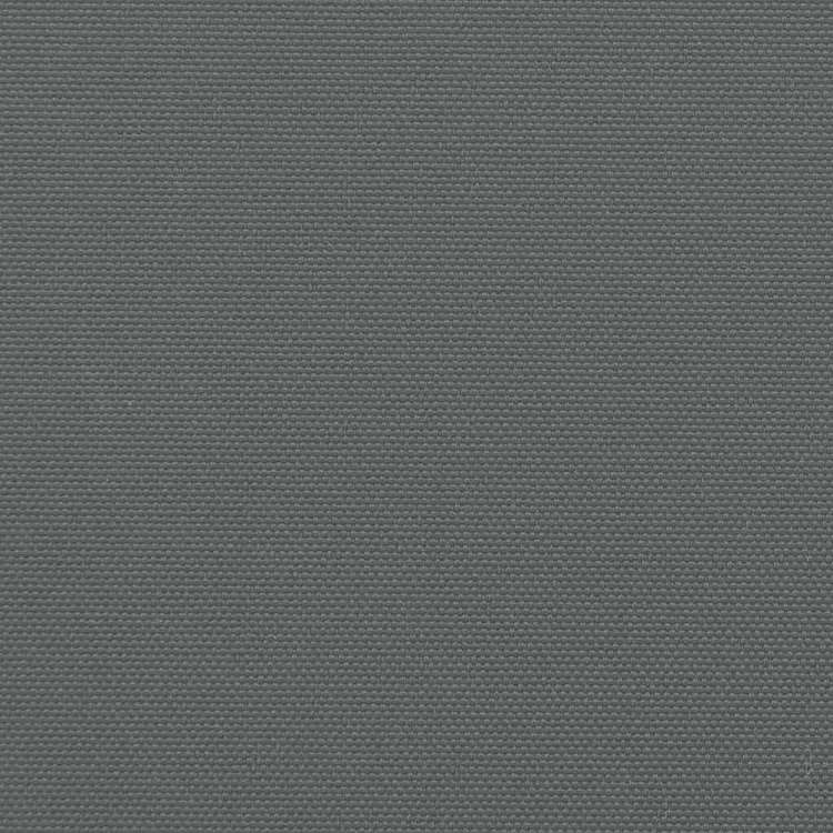 vidaXL 引き込み式サイドオーニング 160x600cm アントラシートホーム&ガーデン 芝&ガーデン アウトドアリビング 屋外用傘・サンシェード(代引不可)