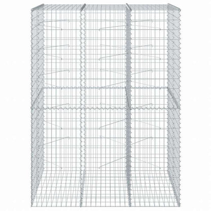 vidaXL 蛇籠バスケット カバー付き 150x100x200cm 亜鉛メッキ鉄ホーム&ガーデン 芝&ガーデン ガーデニング 鉢植え・プランター(代引不可)