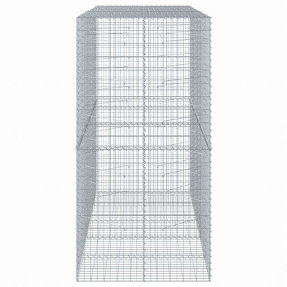 vidaXL 蛇籠バスケット カバー付き 250x100x200cm 亜鉛メッキ鉄ホーム&ガーデン 芝&ガーデン ガーデニング 鉢植え・プランター(代引不可)