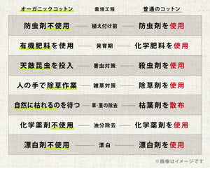 敷きパッドシングル綿100%オーガニックコットン洗えるウォッシャブル低ホルムアルデヒド天然素材コットンゴムバンド【送料無料】