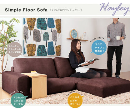 シンプルフロアソファ【Hayley】ヘイリー2人掛け単品(代引不可)【ポイント10倍】【送料無料】【smtb-f】